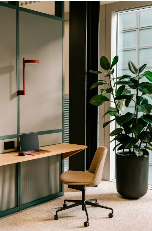 Modern office desk with green panel wall, terracotta lamp and rubber plant in Noida interior